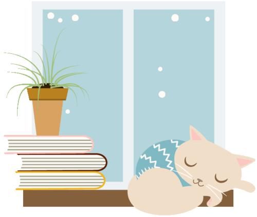 看看小编的兰花