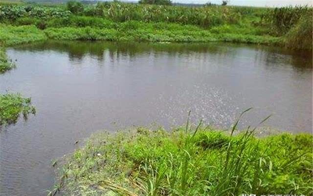 夏季钓鱼,最可能“爆护”的几种钓位,夏季鱼难钓,钓位很重要