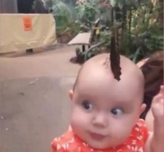 发型|路人看到宝宝留着“扫帚发型”,走近后一看,却是感到不可思议