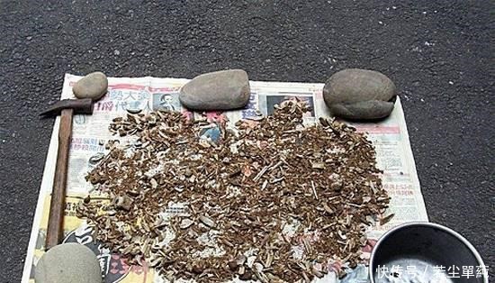 养花不开花用点“它”，催花好“助手”，喷一点点，花量翻倍！