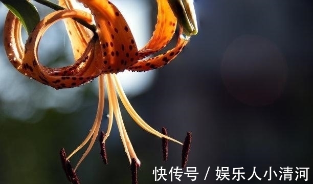 做事情|初入十月,痛苦难忍,幸福降临,再遇前任,交出真心,共度余生