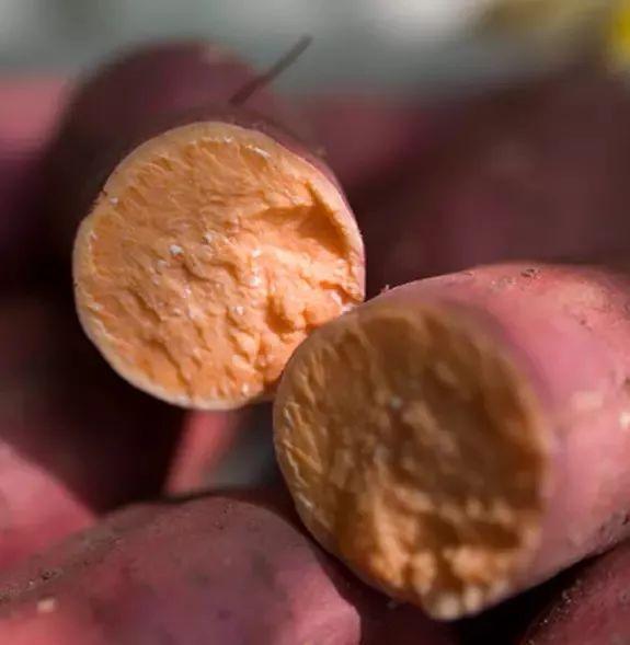 红薯的N种做法,味好又健康,香甜软糯,好吃到哭