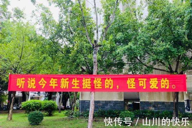 |幽默又搞笑的大学校园横幅，你见过吗？