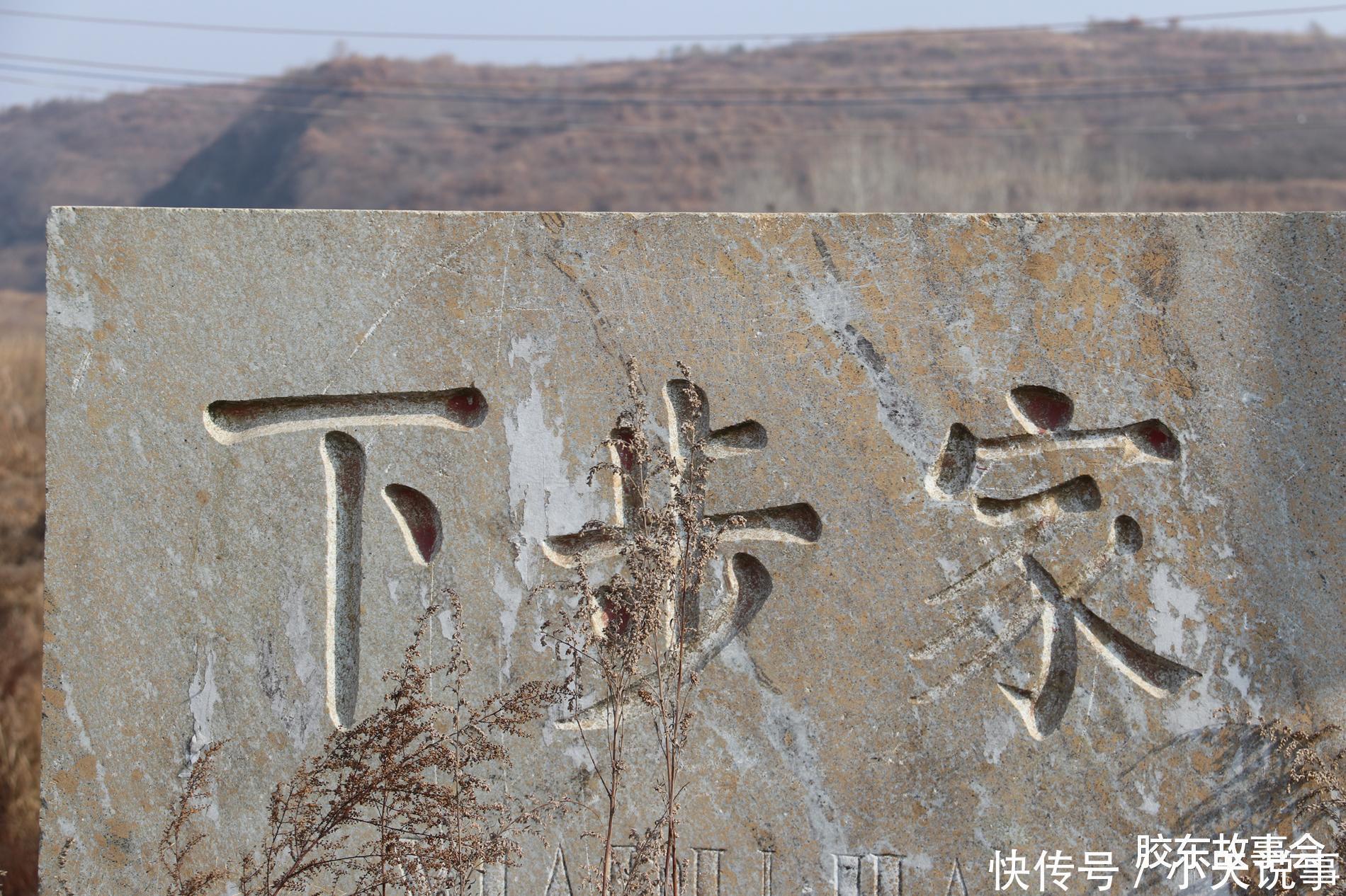 数百年历史的槭树林,见证了“步姓”人在莱阳的繁衍