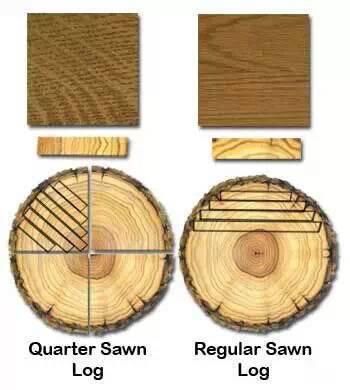 树木|树木切割是一门艺术