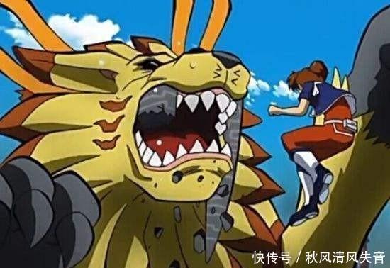 钢铁悟空兽|数码宝贝都是狮子兽究极体,为什么番长狮子兽能秒杀黄金剑狮兽!
