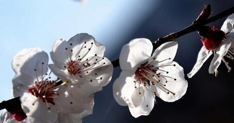 唐诗宋词!南宋未留下名字的诗人,写下一首千古佳作,最后7个字惊艳世人