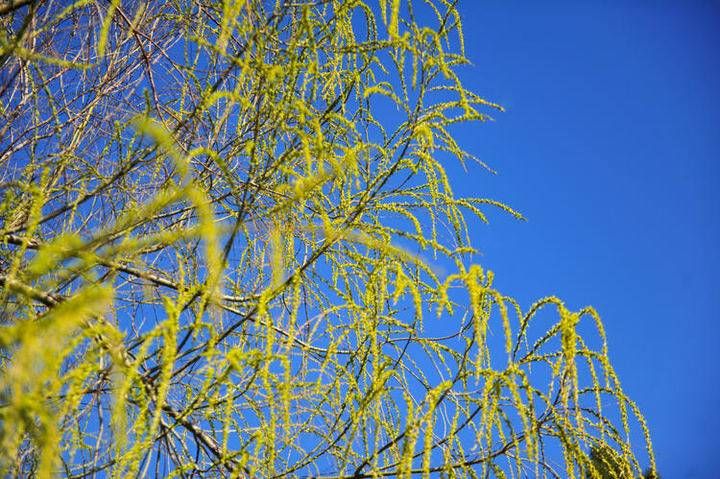 老年|春节遇上春天，春暖花开在路上