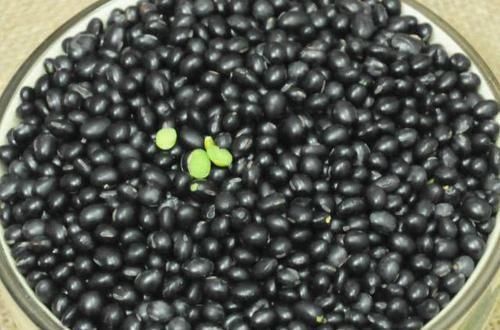 女人的天然“美容菜”,每天吃一吃,皮膚光滑水嫩,大肚子也平了