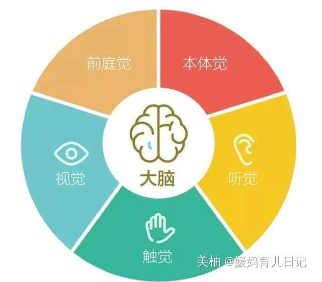 发展|宝宝跳过爬直接学会走，影响认知发展和平衡力，父母如何科学干预