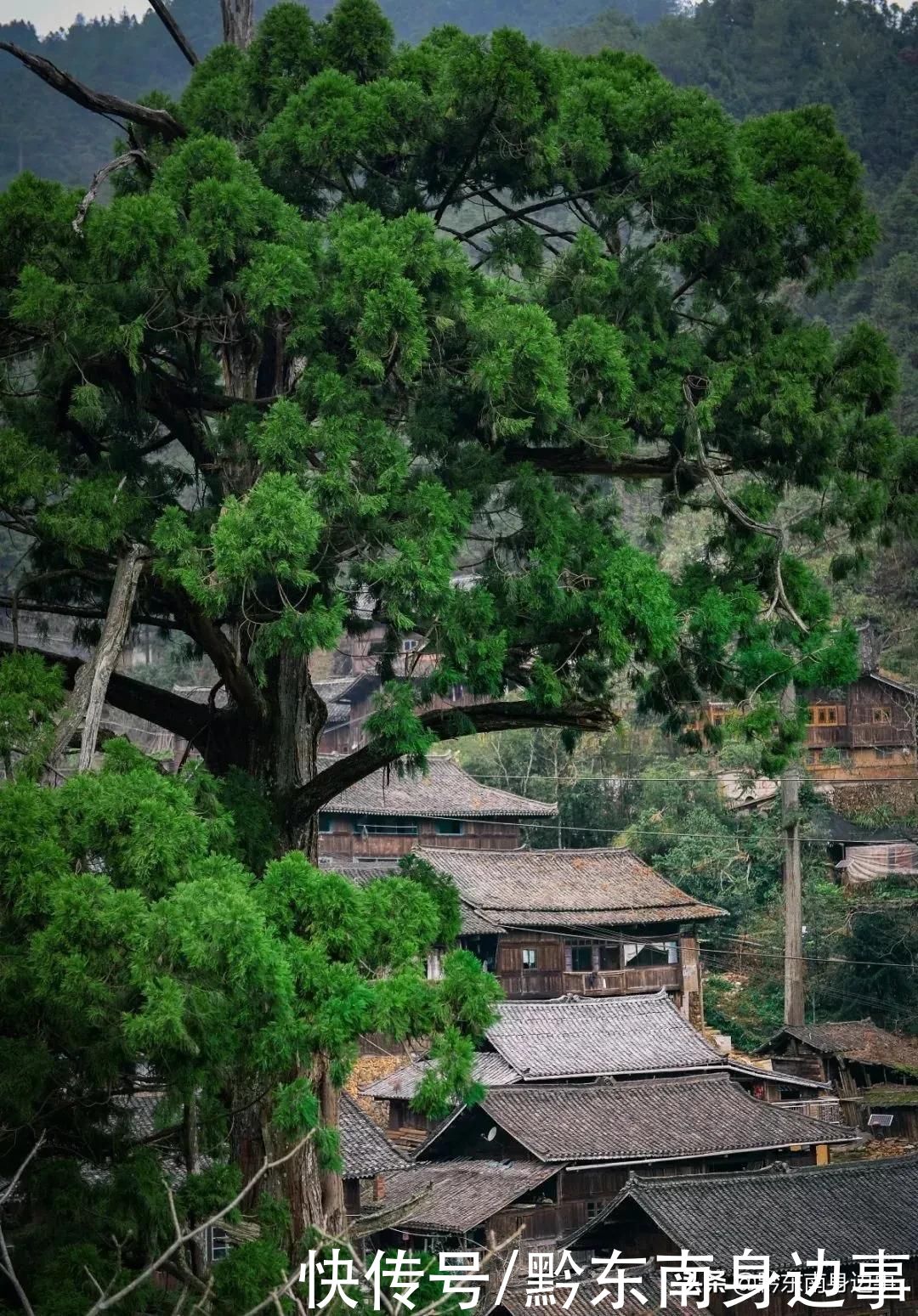 大山深处的绝世秘境——方祥格头村