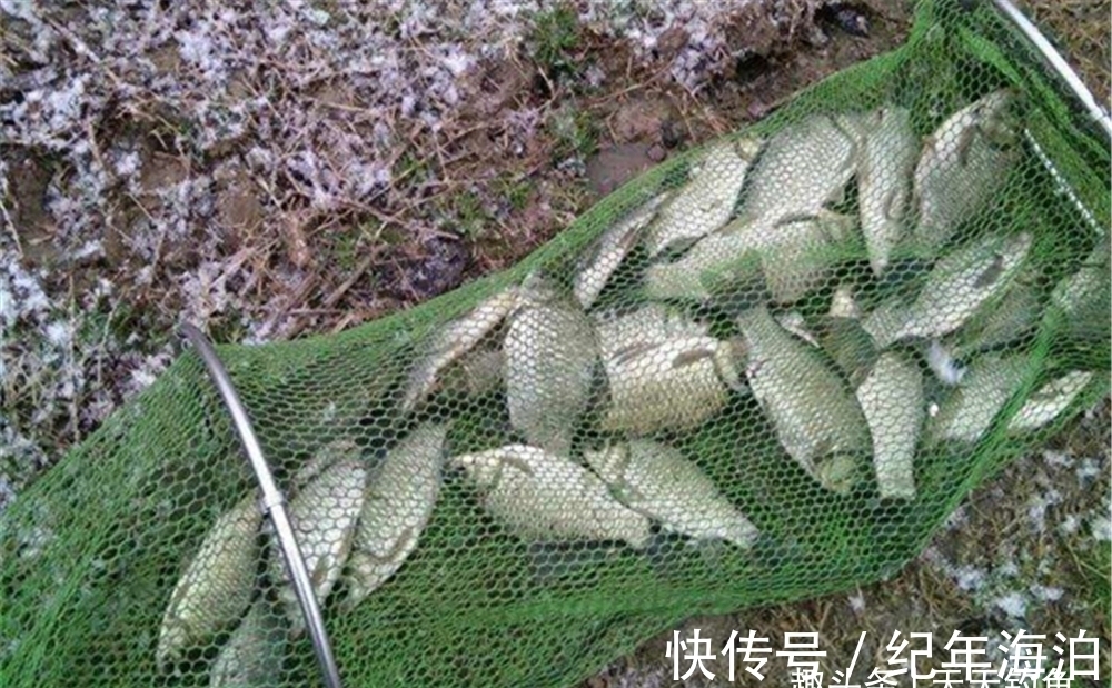 红虫|冬季钓鱼，提升咬钩量的3个办法，天冷还想爆护，这些方法要常用