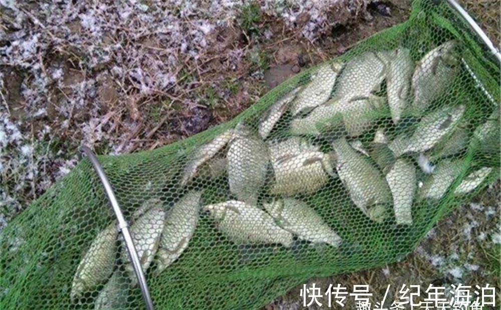冬季钓鱼,提升咬钩量的3个办法,天冷还想爆护,这些方法要常用