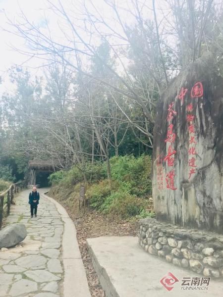 茶马古道|凤阳邑：茶马古道古村落遗址