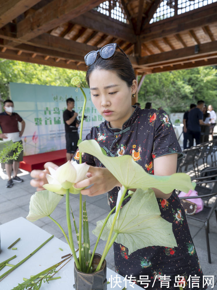 时尚|时尚青岛花漾生活 首届荷花节亮相青岛世博园