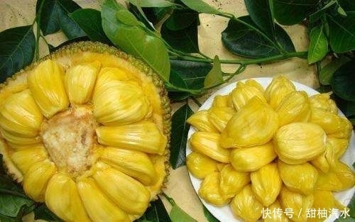 老太|女性最好的零食,不想老太快,冬天多吃,补血养颜,纤体瘦身