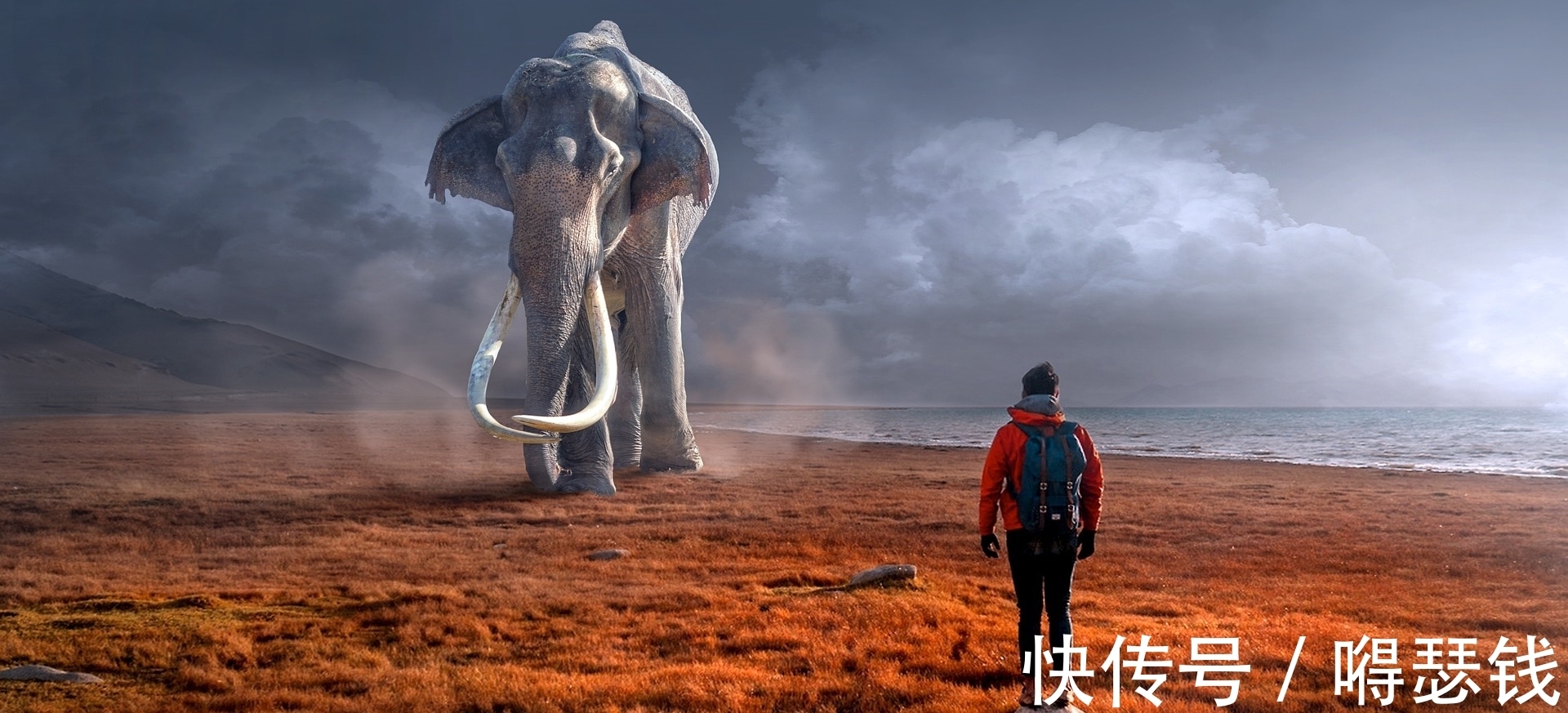 玩家|深夜笑出声系列,这三本小说不容错过