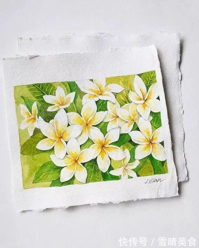 色彩|我画水彩为什么又脏又灰？掌握这几点，画的干净又清爽！
