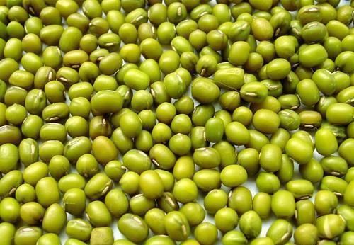 杨梅酒|聪明女性喜欢吃三种食物，补充营养、滋润皮肤，好吃又不贵！