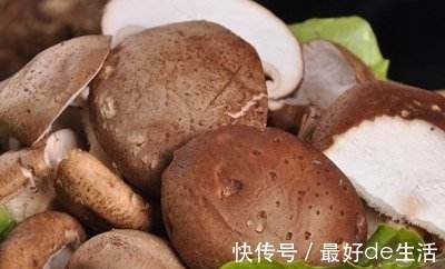 缓解|哪些食物能缓解类风湿性关节炎患者的症状？