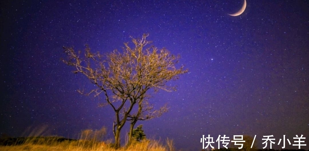 故友#这两首意蕴凄美的唐诗,被蘅塘退士选入《唐诗三百首》,值得一读