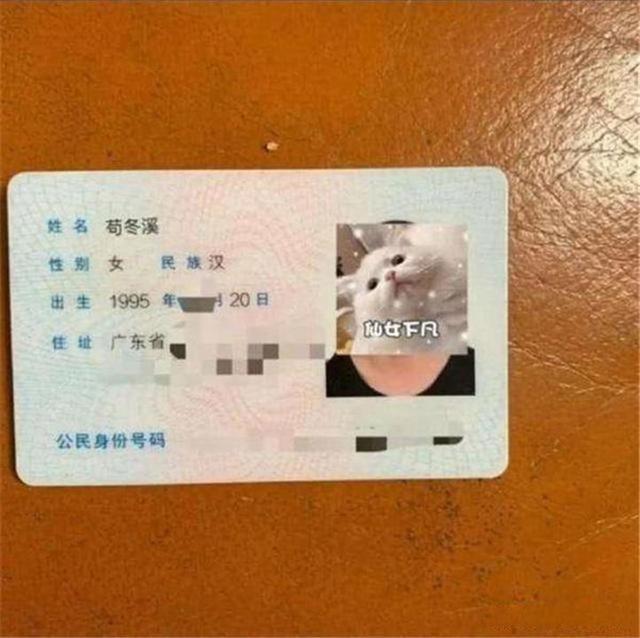 宝妈|爸爸跟风给女儿取名“子怡”,娃上学后被嘲笑,宝妈:倒过来念念