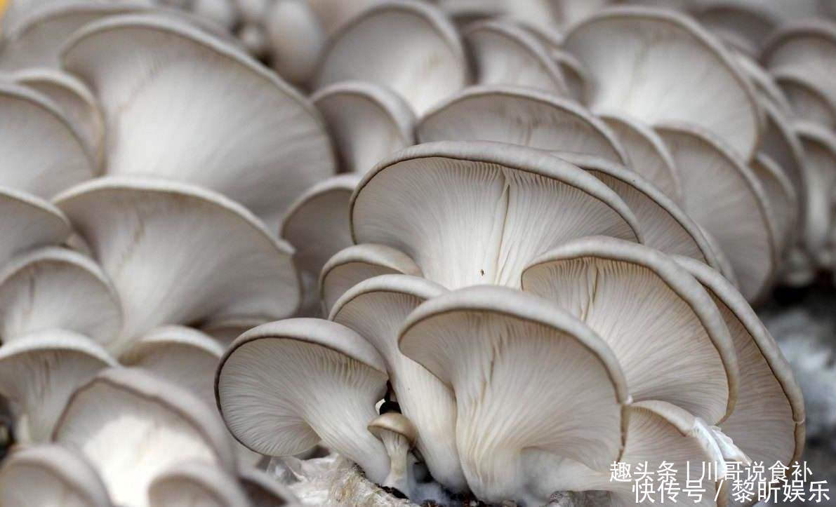 买平菇时,挑大的还是小的老菜农教您一招,别再买错了