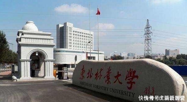 这些大学实力强劲，不输任何211，且录取分数相对较低