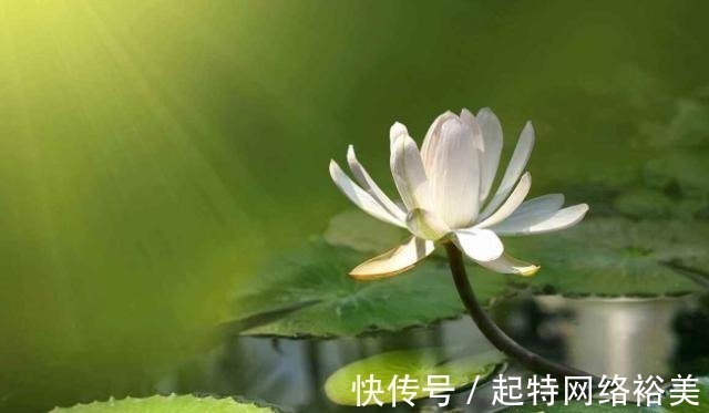 福运$老祖宗:积“阴德”的3件事,常做福运不请自来,你做了几件?