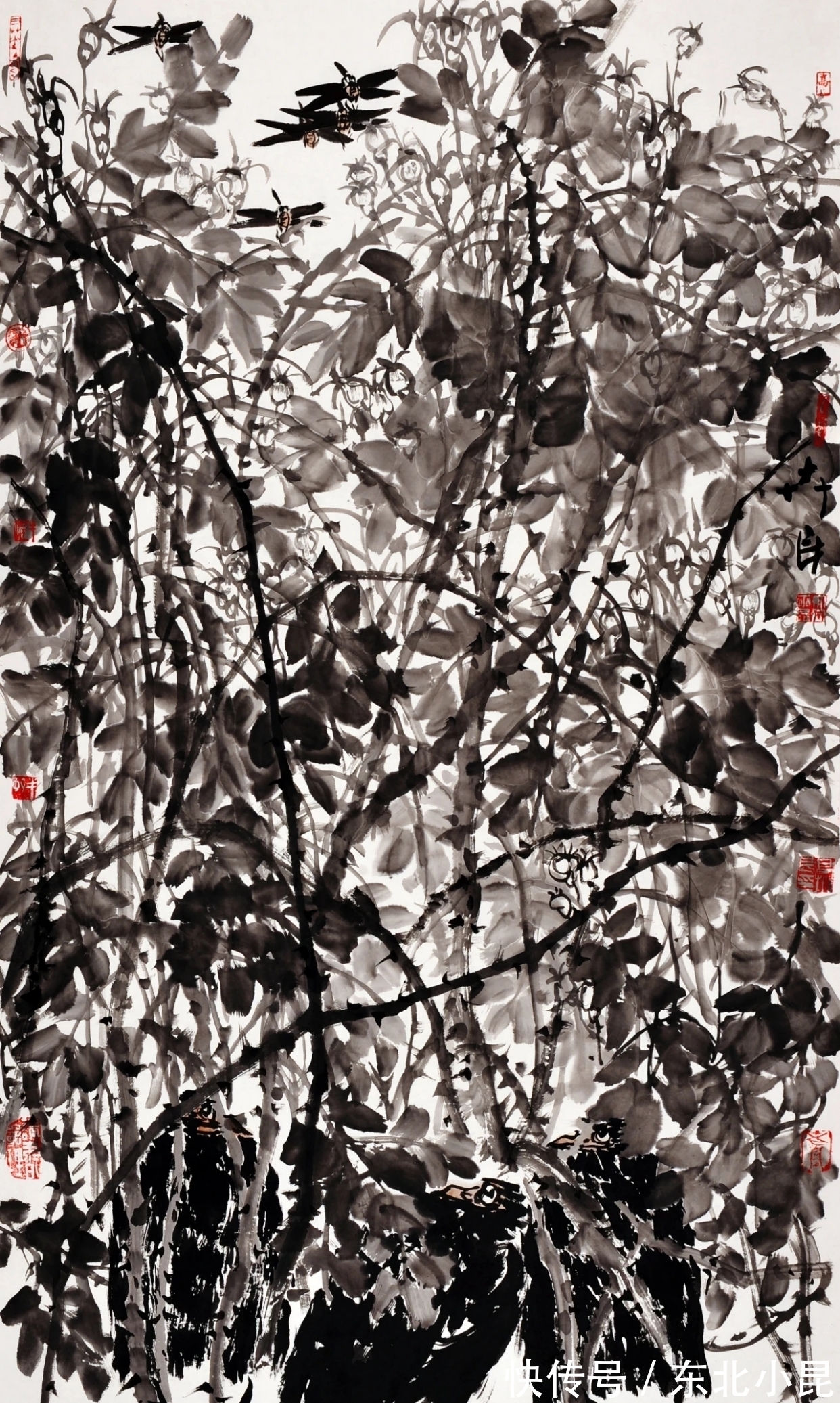 大写意@高卉民|北方大写意花鸟画领军人