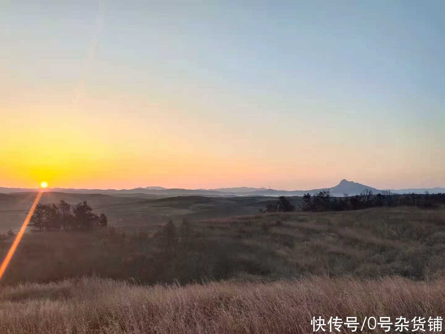 青岛栈桥的海鸥吃美了，我在老家吃上了这种美味