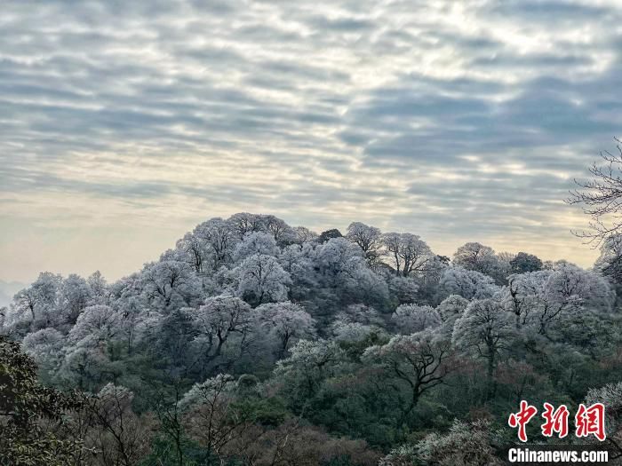 雪原|广西北部深山出现一片彩色雪原