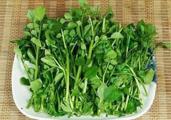 化痰止咳|女性经常月经不调？常吃农村一菜，调理月经，化痰止咳补钙质