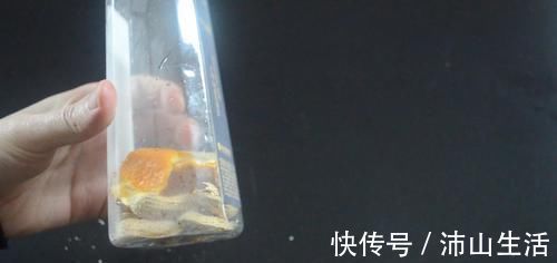 花生壳和橘子皮放在一起，这个用途太实用了，看完尽快提醒家里人