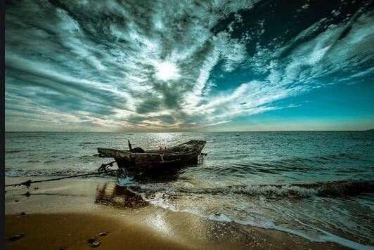 山东文学#一个女儿的回家路——写在孟晚舟归国之时