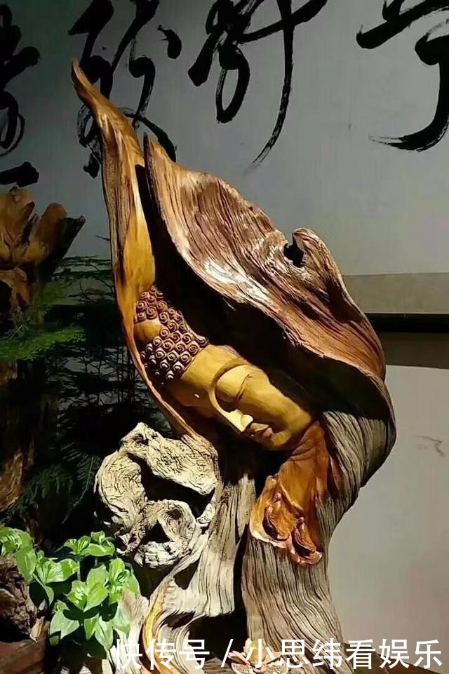 根雕艺术|天价根雕盘点:崖柏根雕标价3