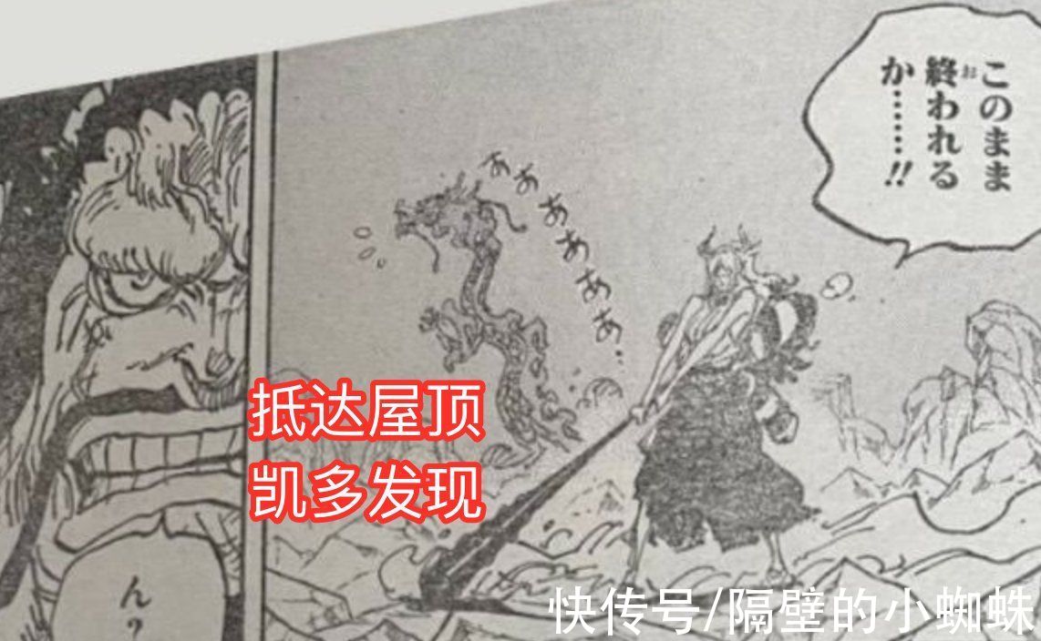 乌索普|海贼王1025话，乌索普成为新船长，桃之助大闹鬼岛，大妈被吓一跳