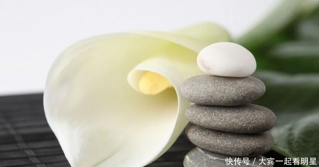 王安石|张世敏:张载与王安石变法之比较(中)