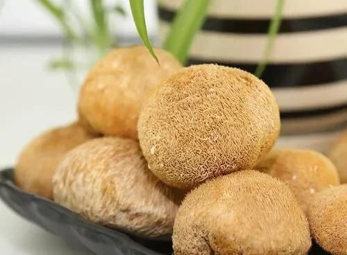 猴头菇怎么烧？