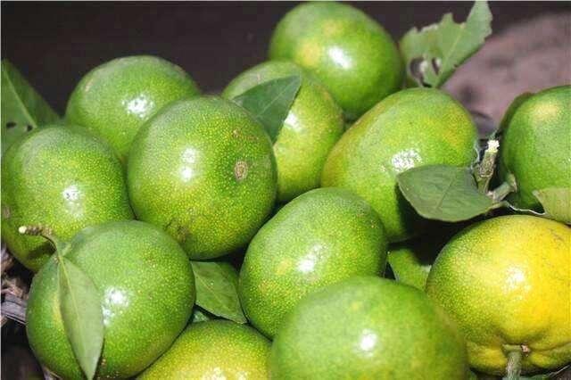 清道夫|夏天常吃3种血管“清道夫”,排毒润肠,降压降脂,增加血管韧性