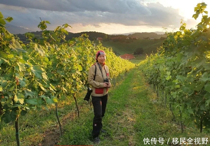 葡萄酒|斯洛文尼亚,葡萄酒乡的微醺时光