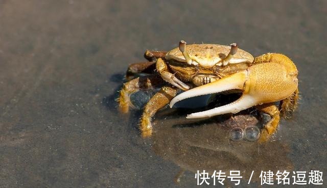 风油精|值得收藏的二十条生活小技巧