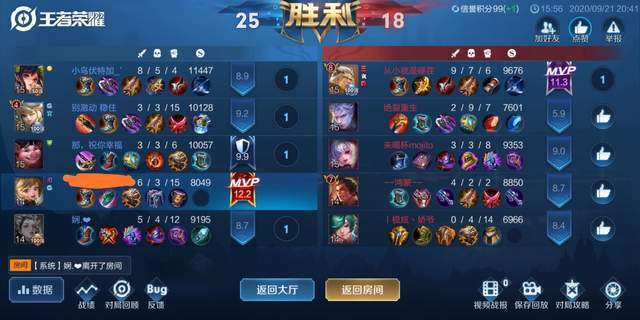 提问|王者荣耀:提问,对面有真伤英雄,我们还要选择肉辅吗?