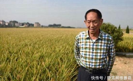 科学|袁隆平书法:他的书法质朴厚道,风骨遒劲透露书卷气