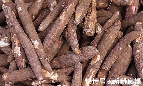 木薯|此高营养的植物却含有毒素，美国人从不碰，大家却常吃