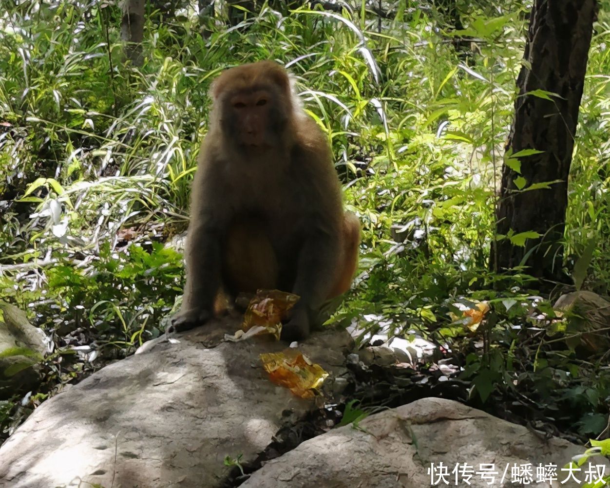 蟀大叔|因风景如画，怪石叠加，一地被誉“江苏张家界”，你知道是哪吗？