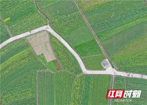 道县郊游 乐享假日