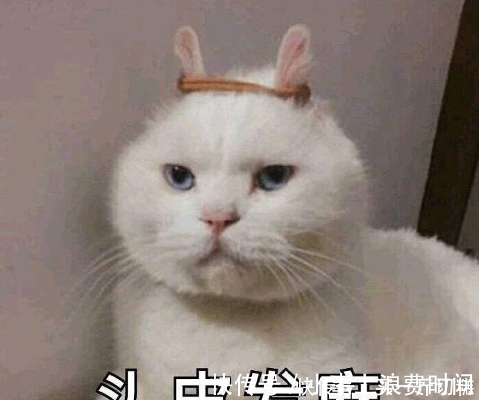 |搞笑表情包图片：请注意你的言行举止，略略略略！