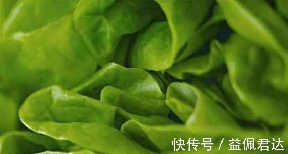 马齿苋|女性怀孕之后一定要远离这五种蔬菜