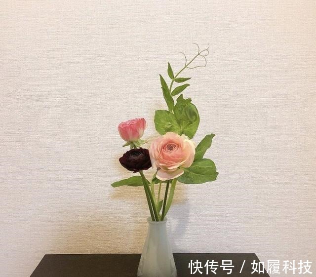 极简|她的26㎡!一个极简主义者的家,全屋一尘不染毫无杂物,学习了